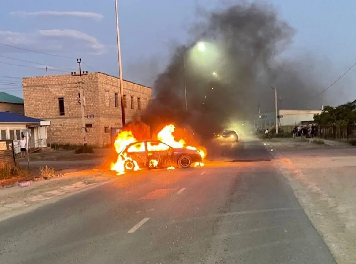 Фото ДЧС МО