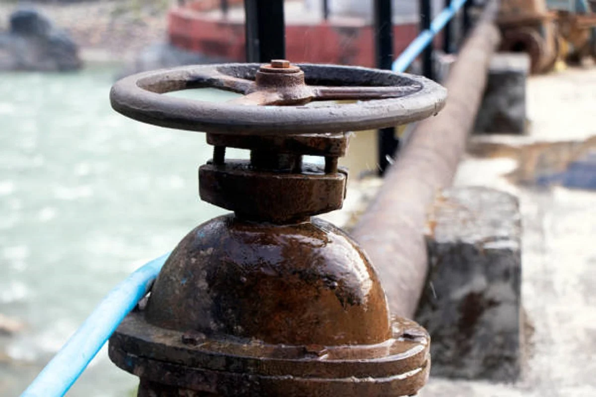 Фото istockphoto.com