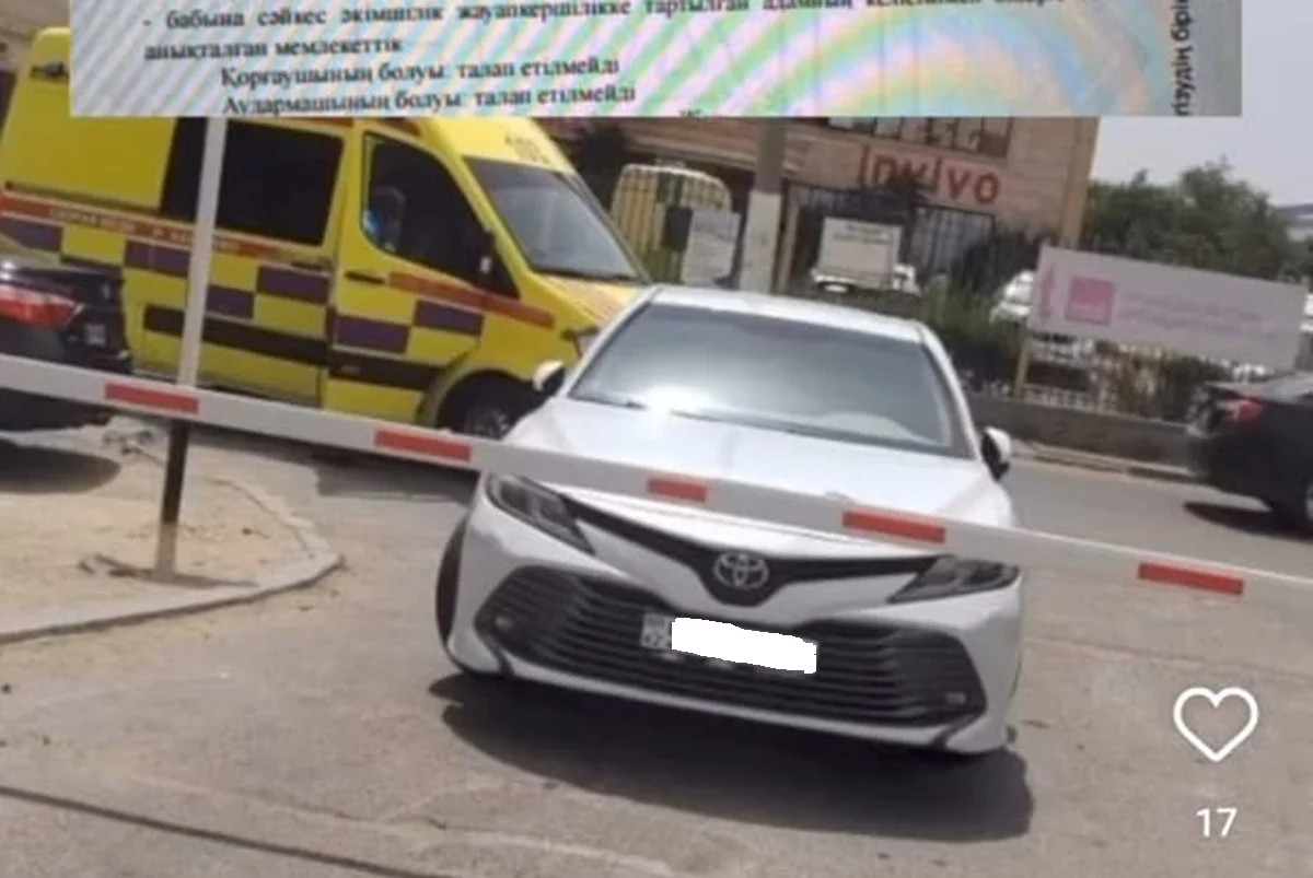 Фото: стоп-кадр из видео