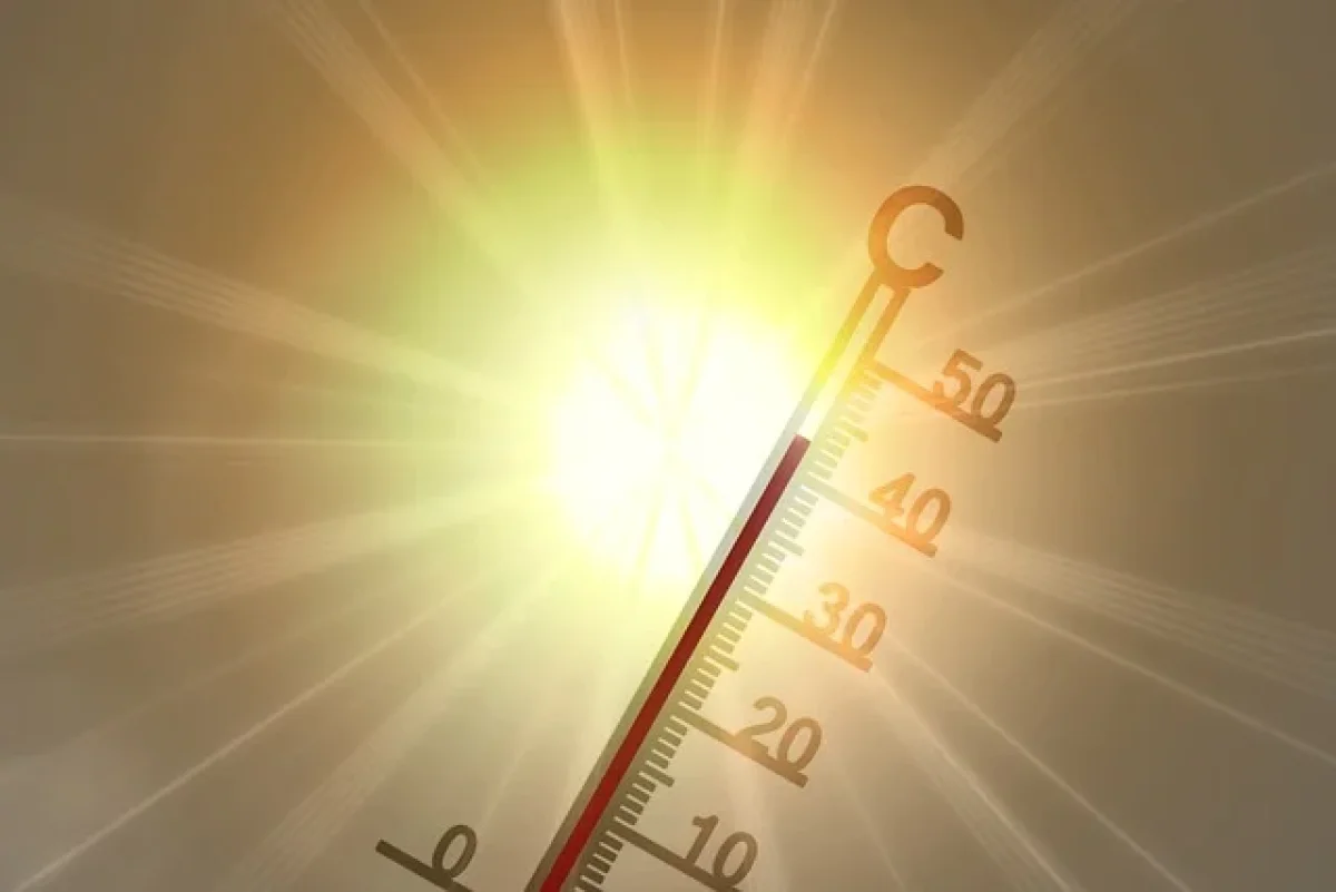 Фото pixabay.com