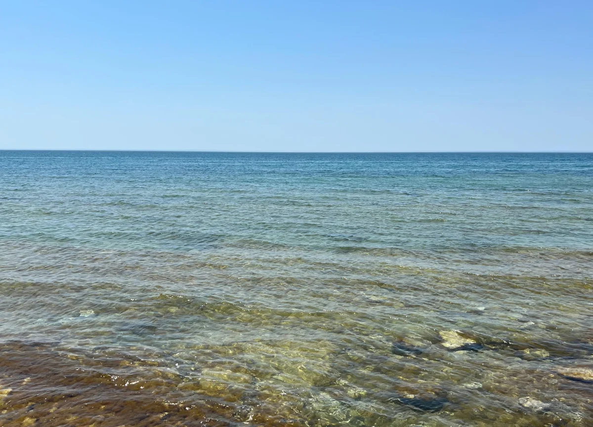 Фото департамента экологии Мангистауской области