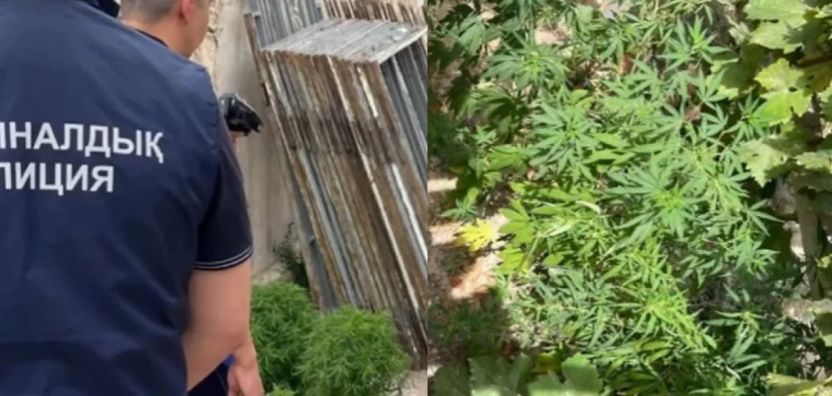 Скриншоты из видео