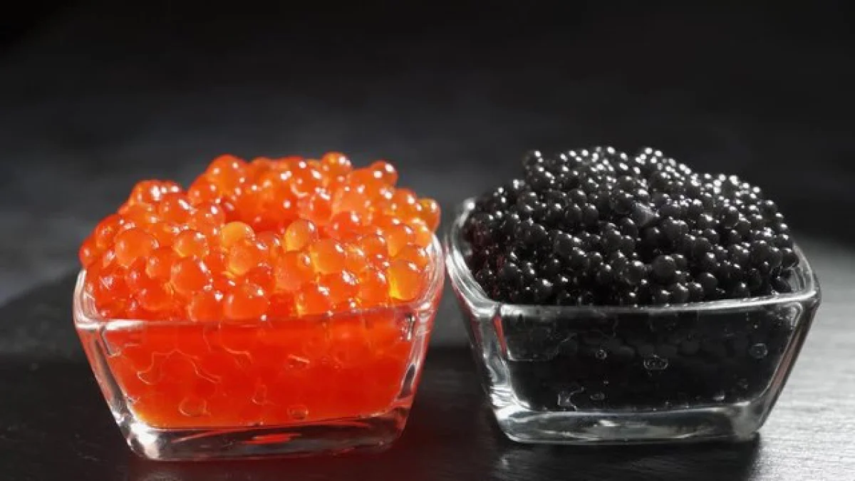 Фото: stock.adobe.com