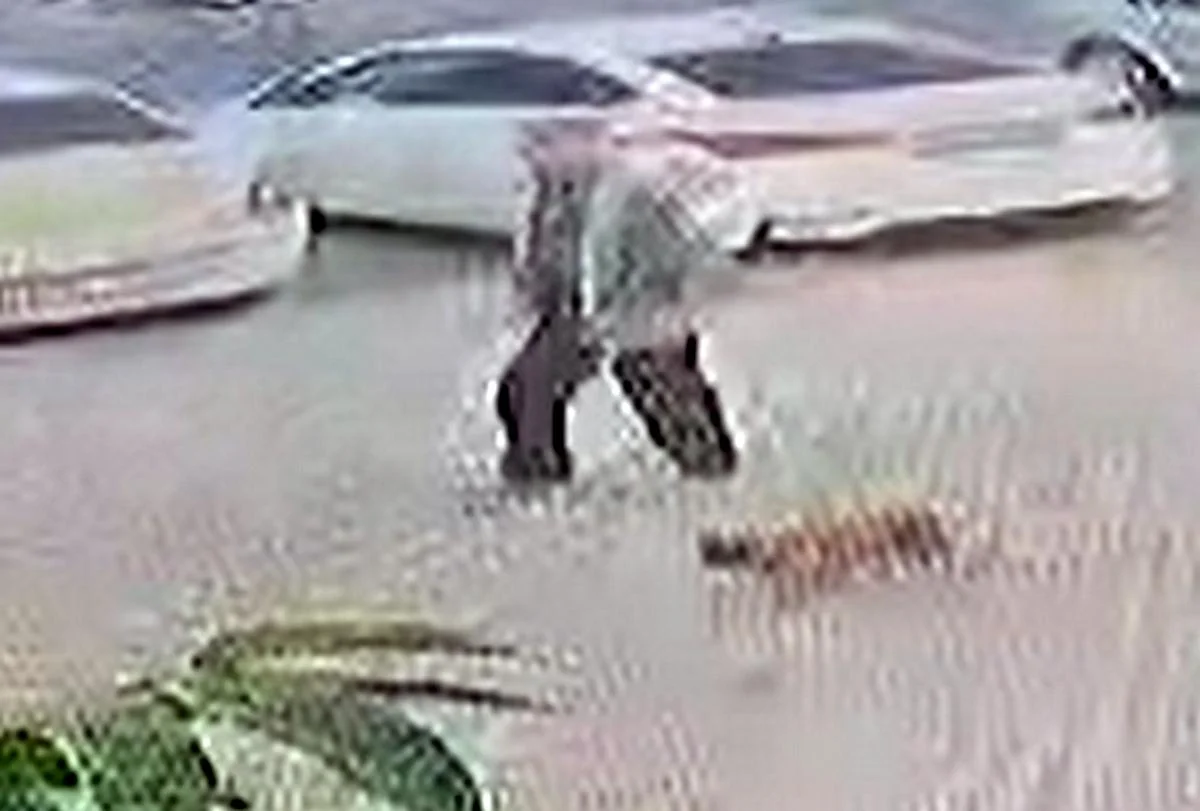 Фото: кадр видео