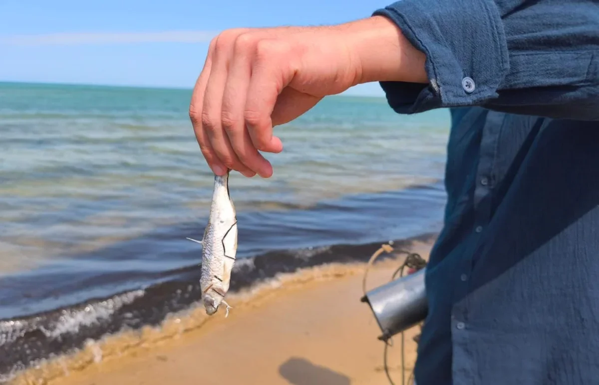 Фото Комитета рыбхозяйства РК