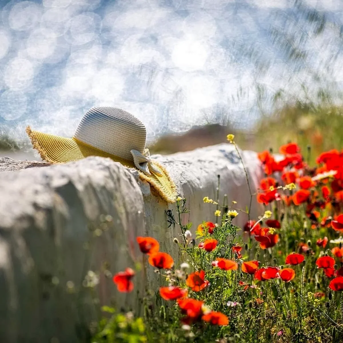 Фото: wishescards.ru