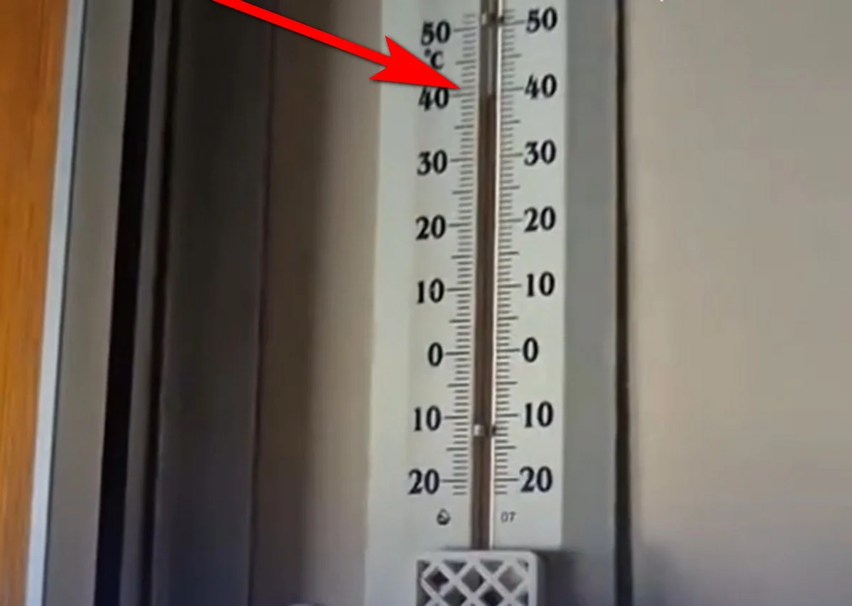 Фото: кадр видео