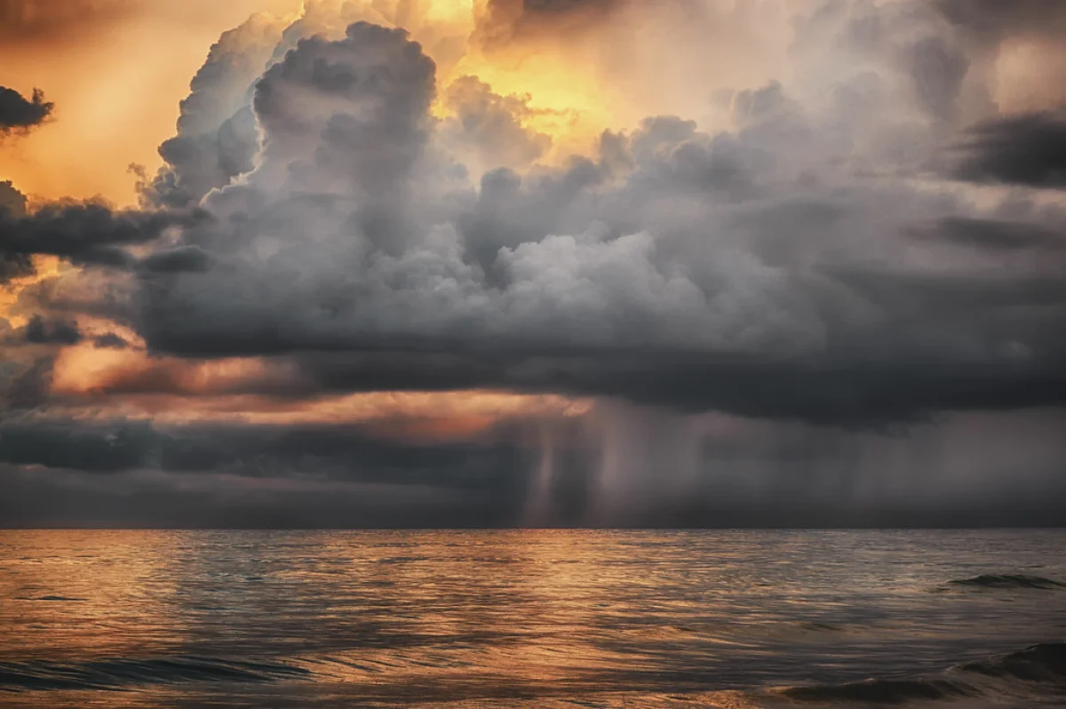 Фото: istockphoto.com