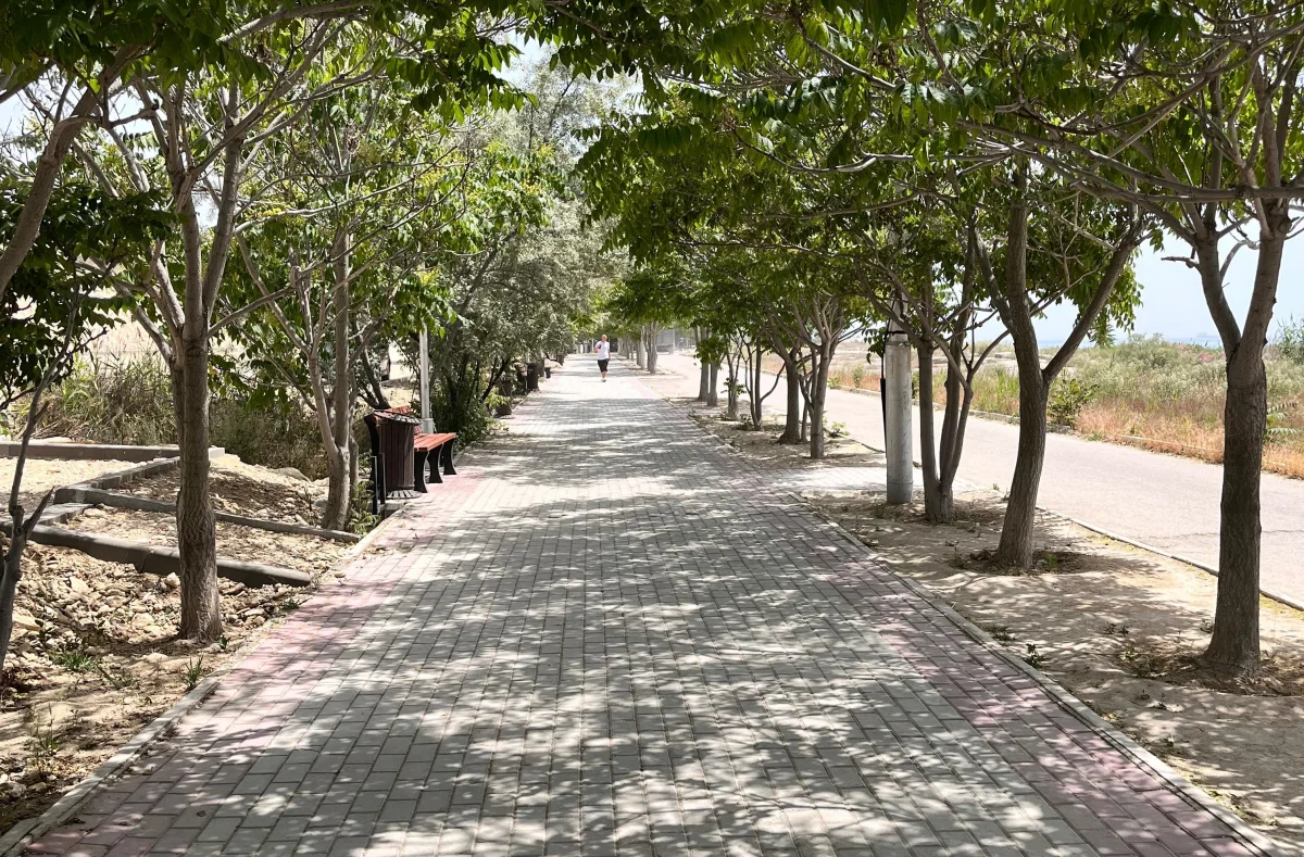 Пешеходная набережная. Фото автора