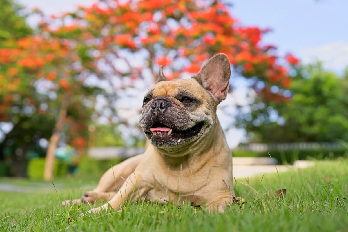 Фото: Tienuskin/Shutterstock/FOTODOM