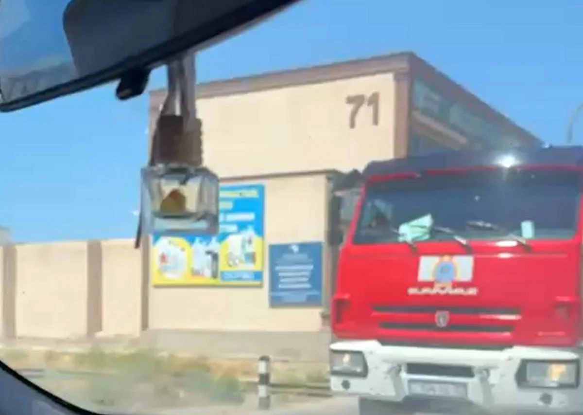 Фото: кадр видео