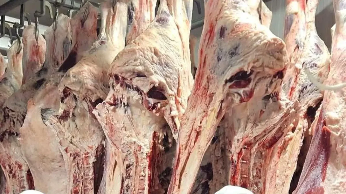 Фото Министерства сельского хозяйства РК