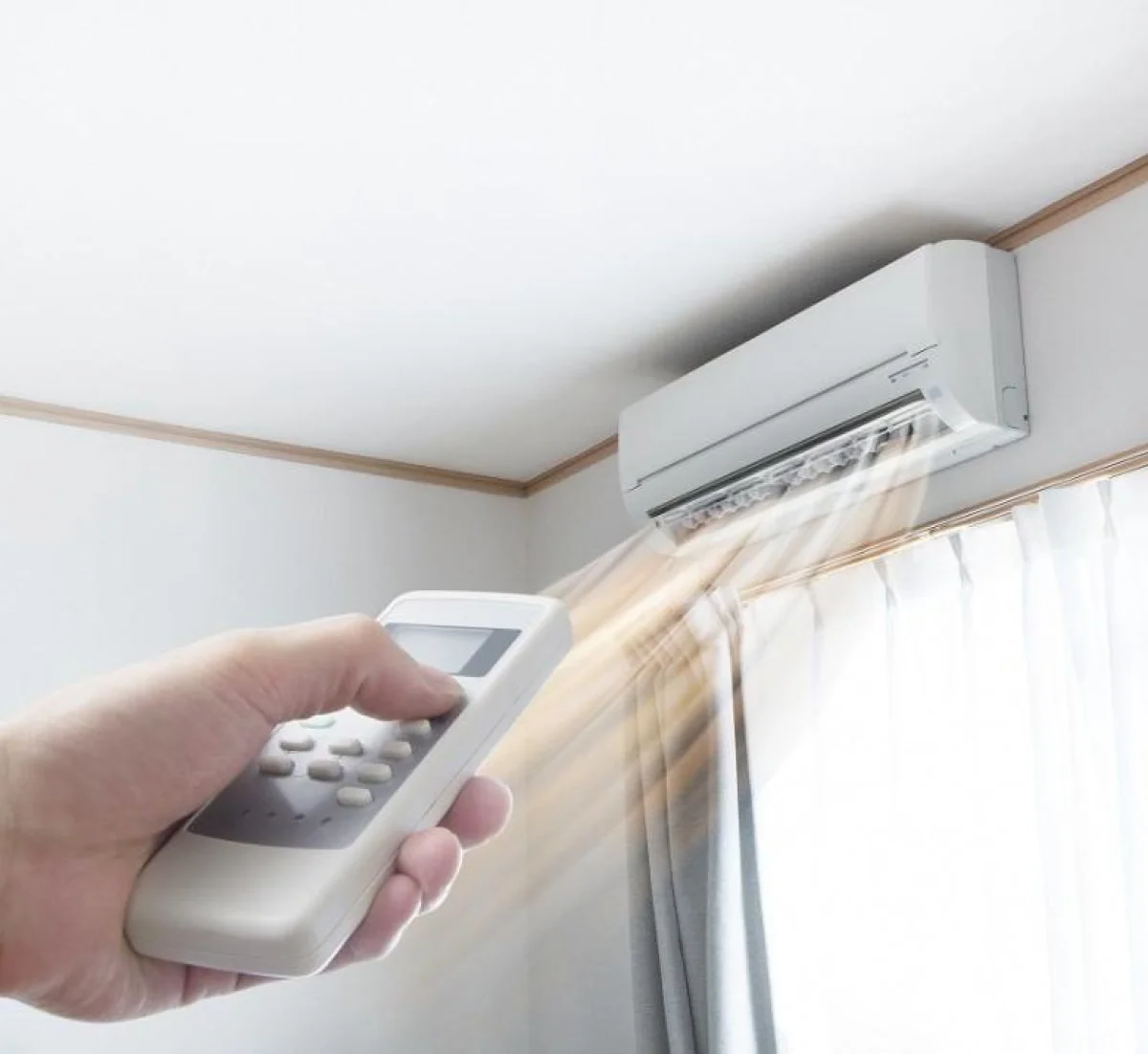 Фото:  Shutterstock