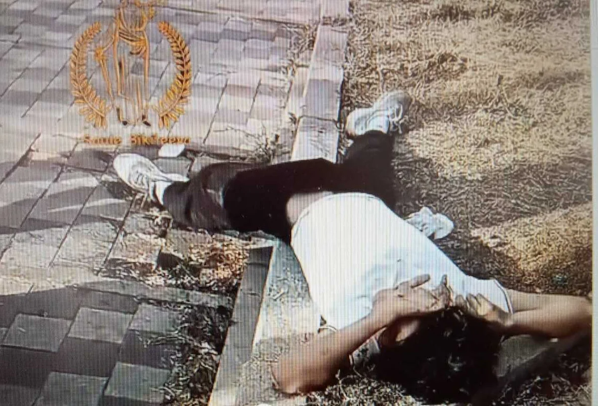 Кадр из видео