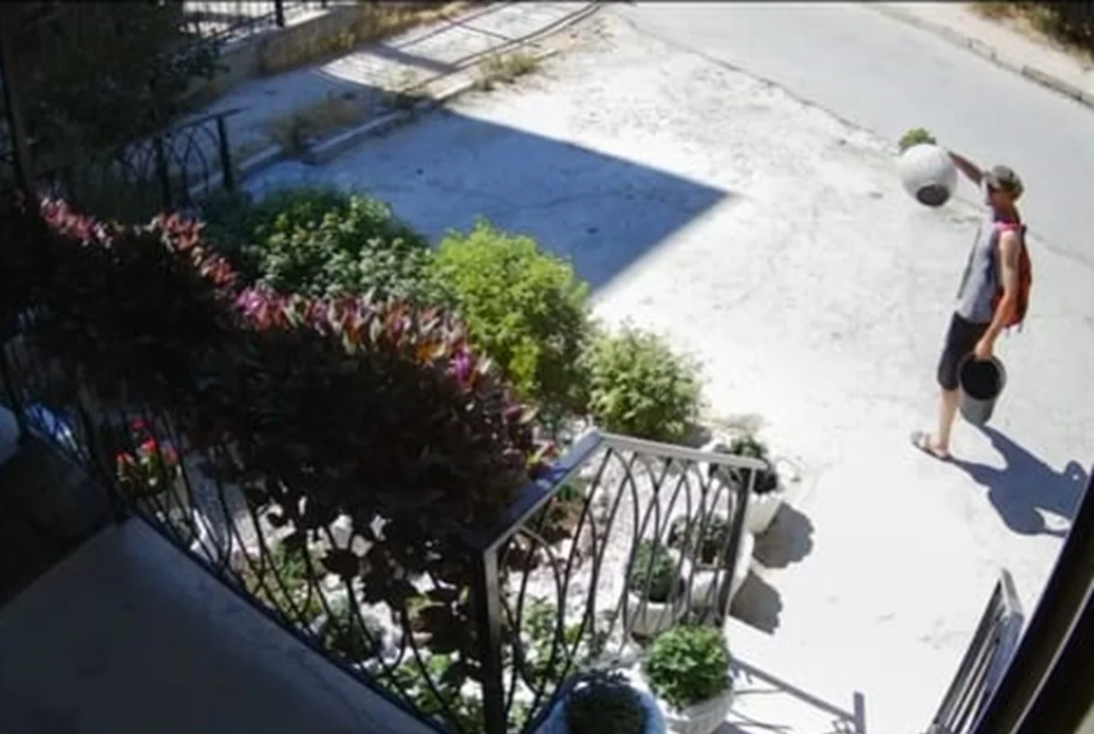 стоп-кадр из видео