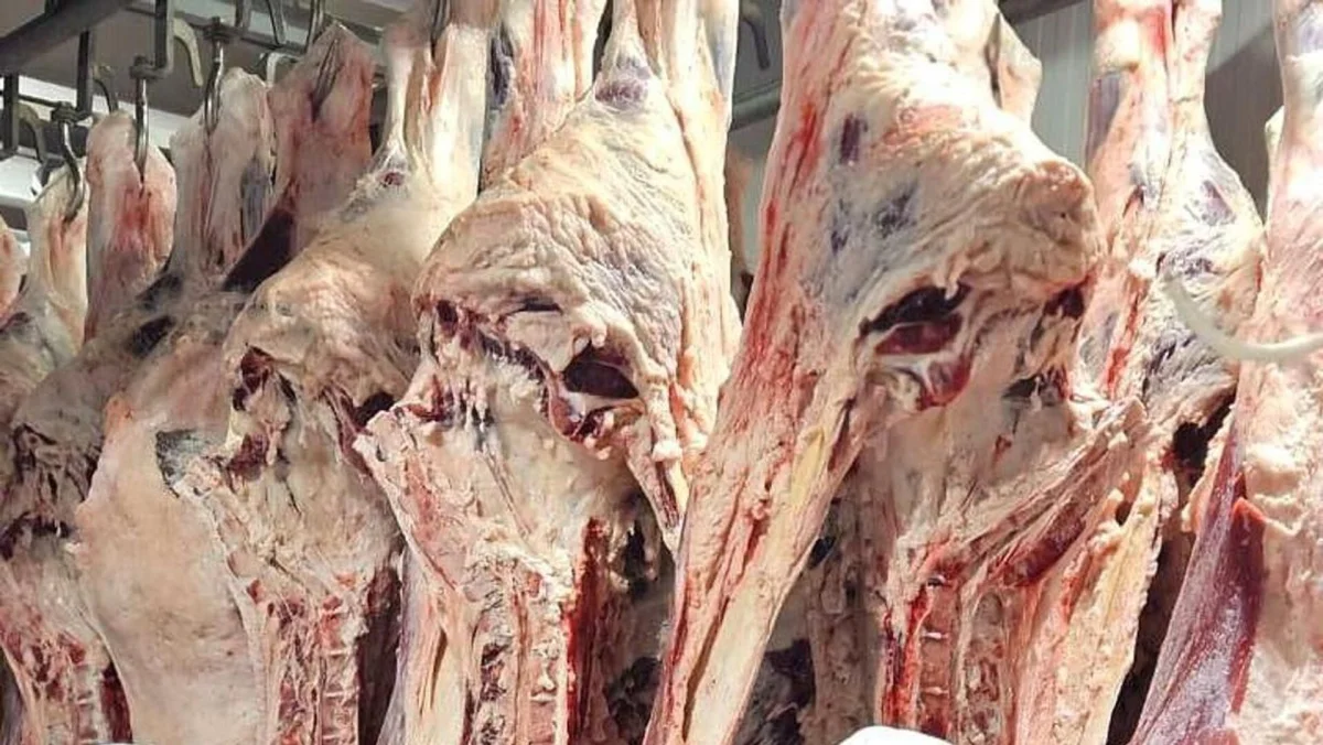 © Photo : Комитет ветеринарного контроля и надзора МСХ РК