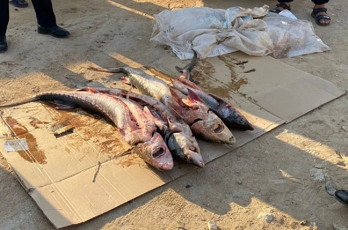 Фото из архива