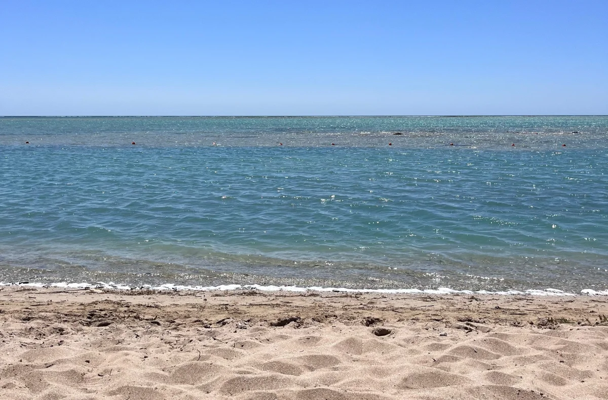 Каспийский берег. Фото автора