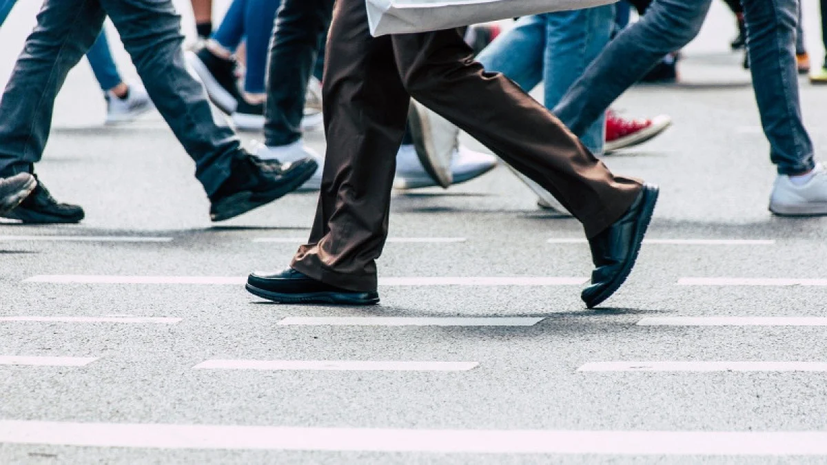 Фото pixabay.com