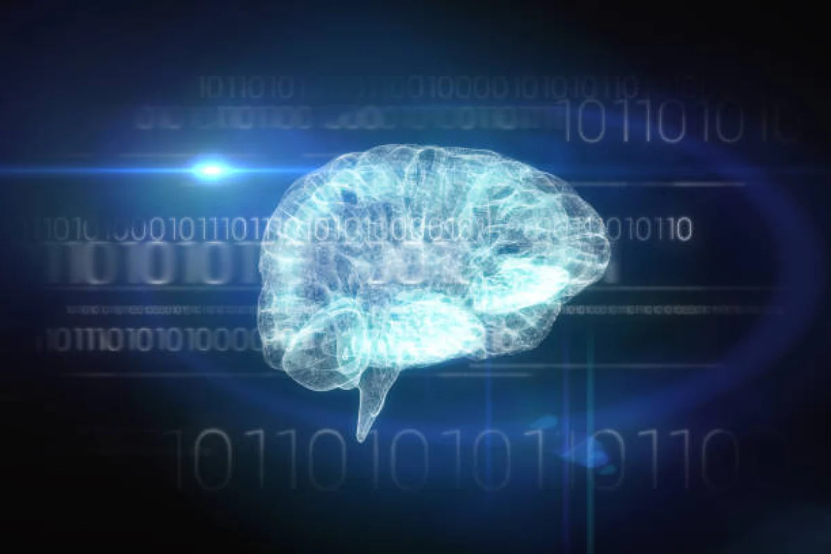 Фото pixabay.com