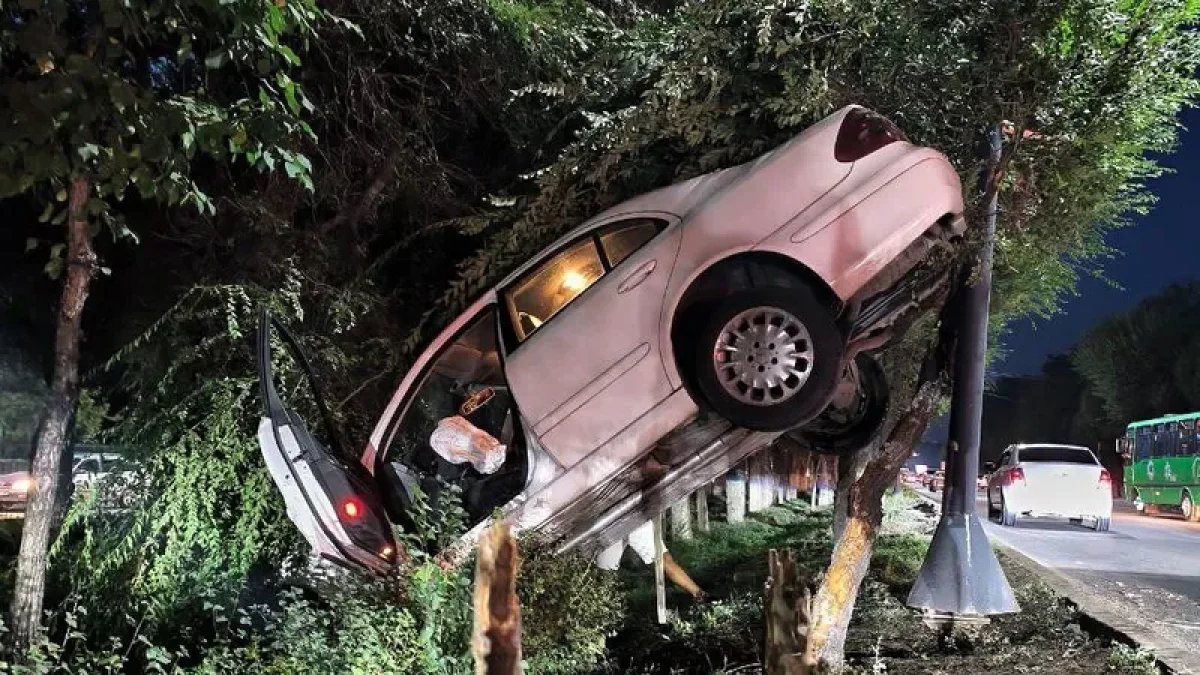 Фото профиля kris.p.live