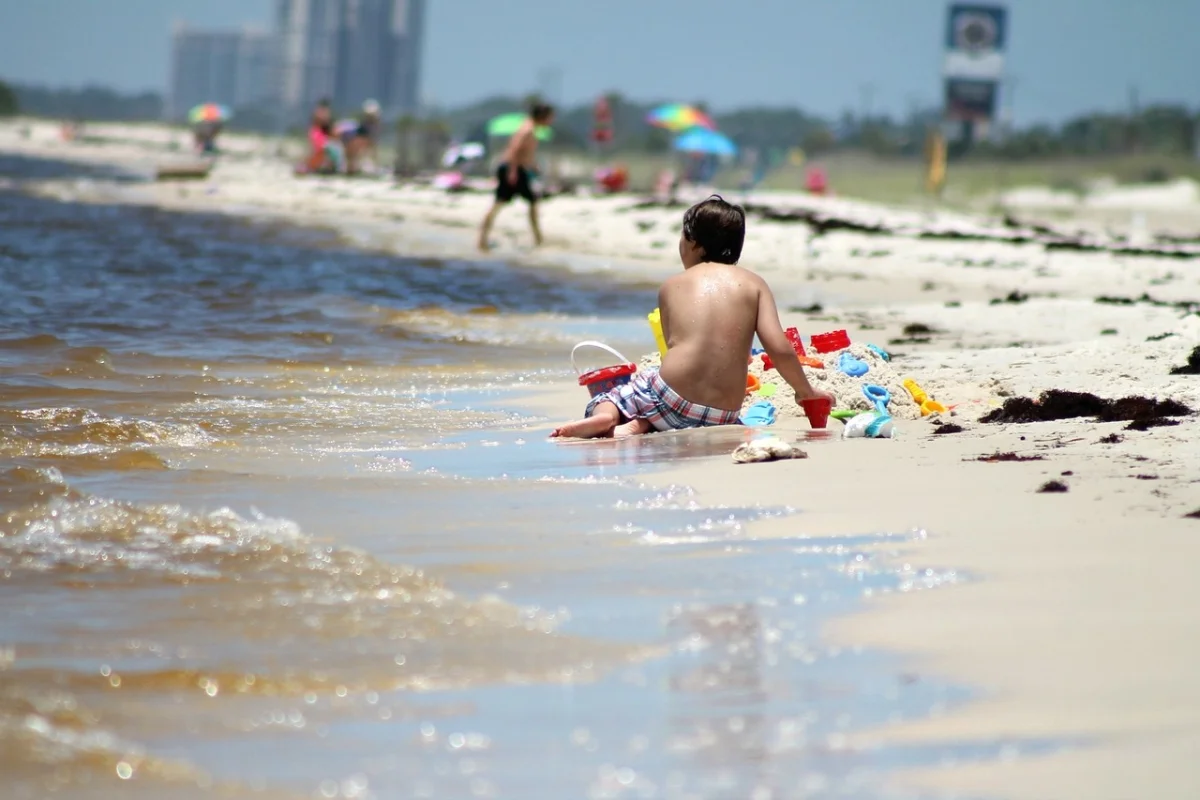 Фото pixabay.com