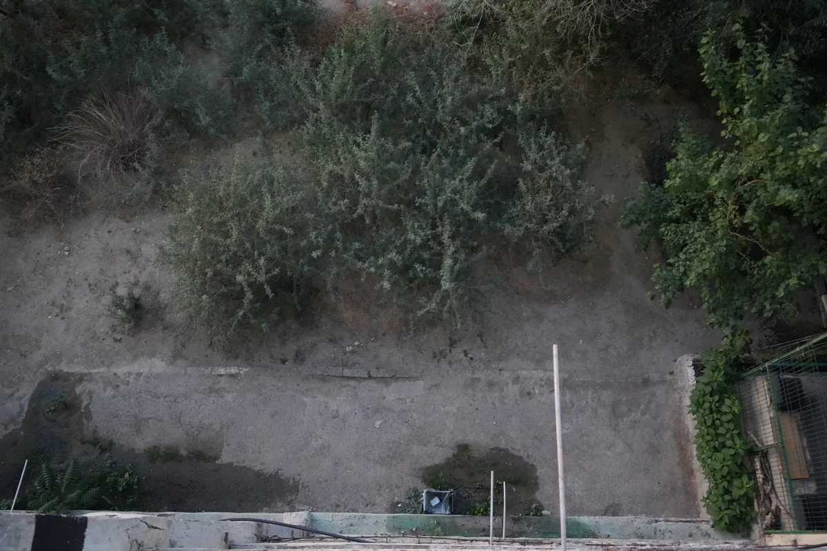 Фото местных жителей