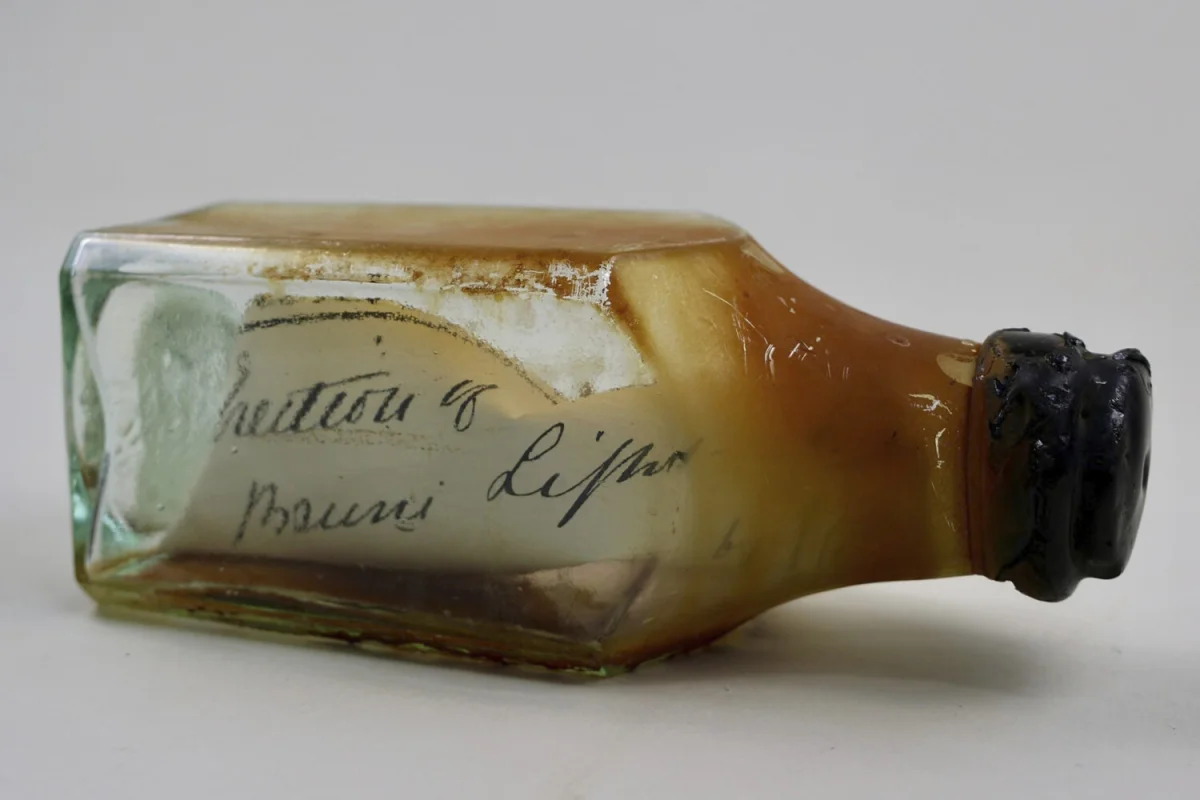 Фото: Bernie/Tasmania Museum and Art Gallery