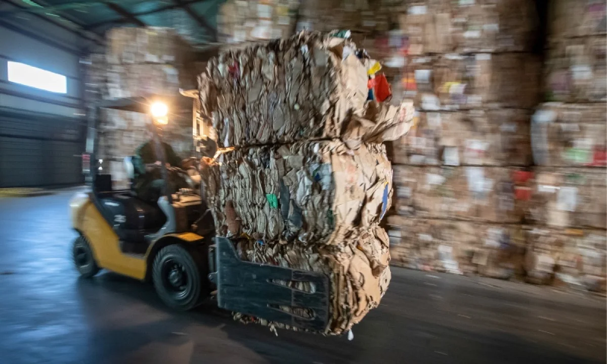 Фото: Станислав Красильников/ТАСС