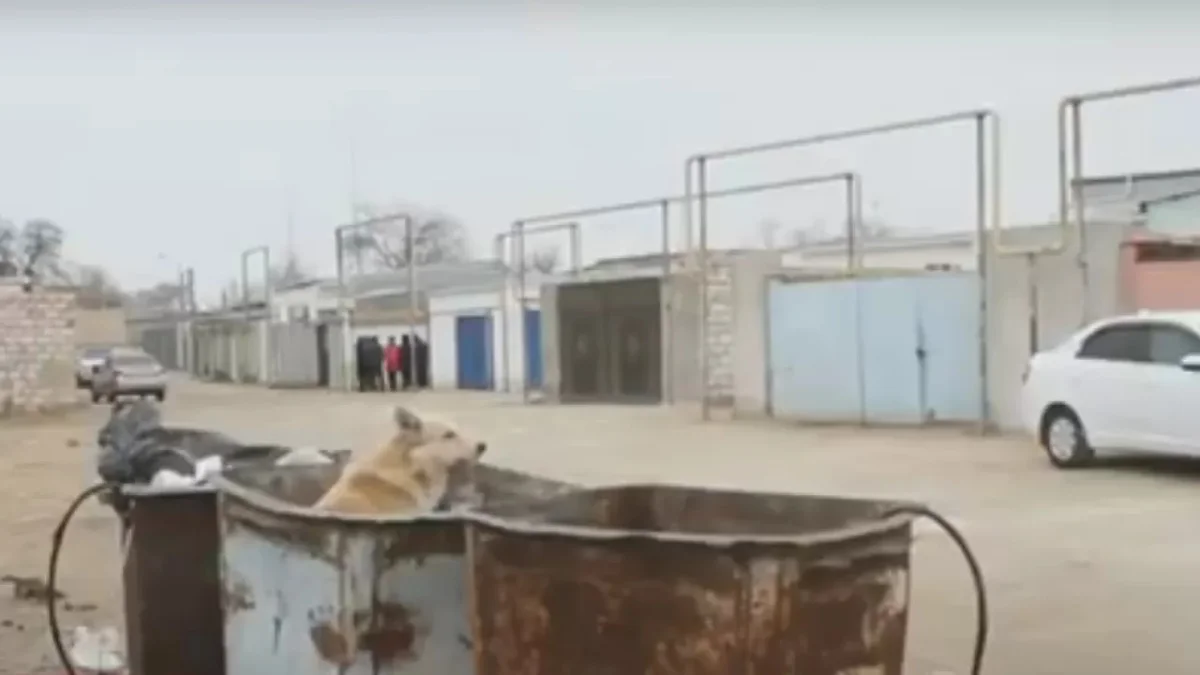 Фото: inbusiness.kz