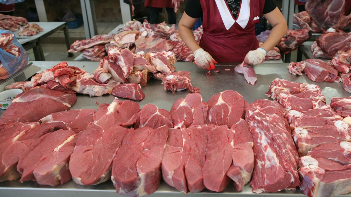 © Sputnik / Александр Кряжев