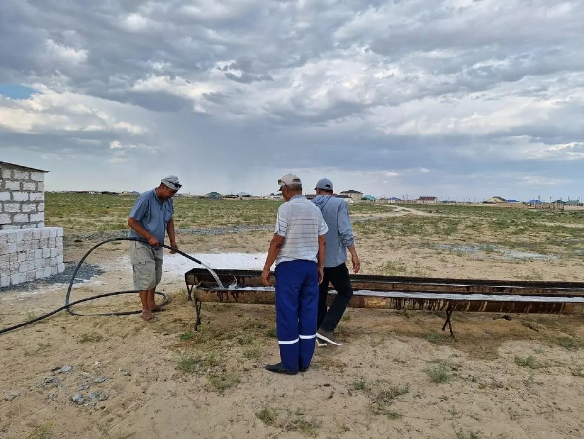 Фото: акимат Каракиянского района