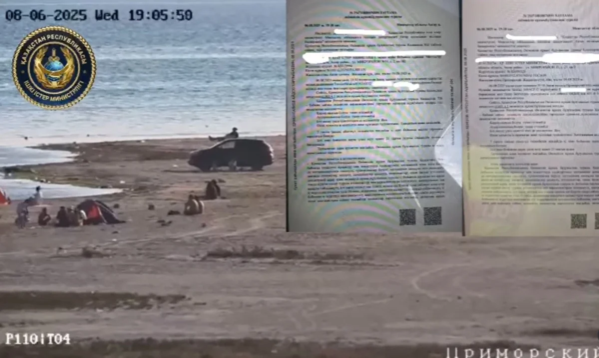 Фото: кадр видео