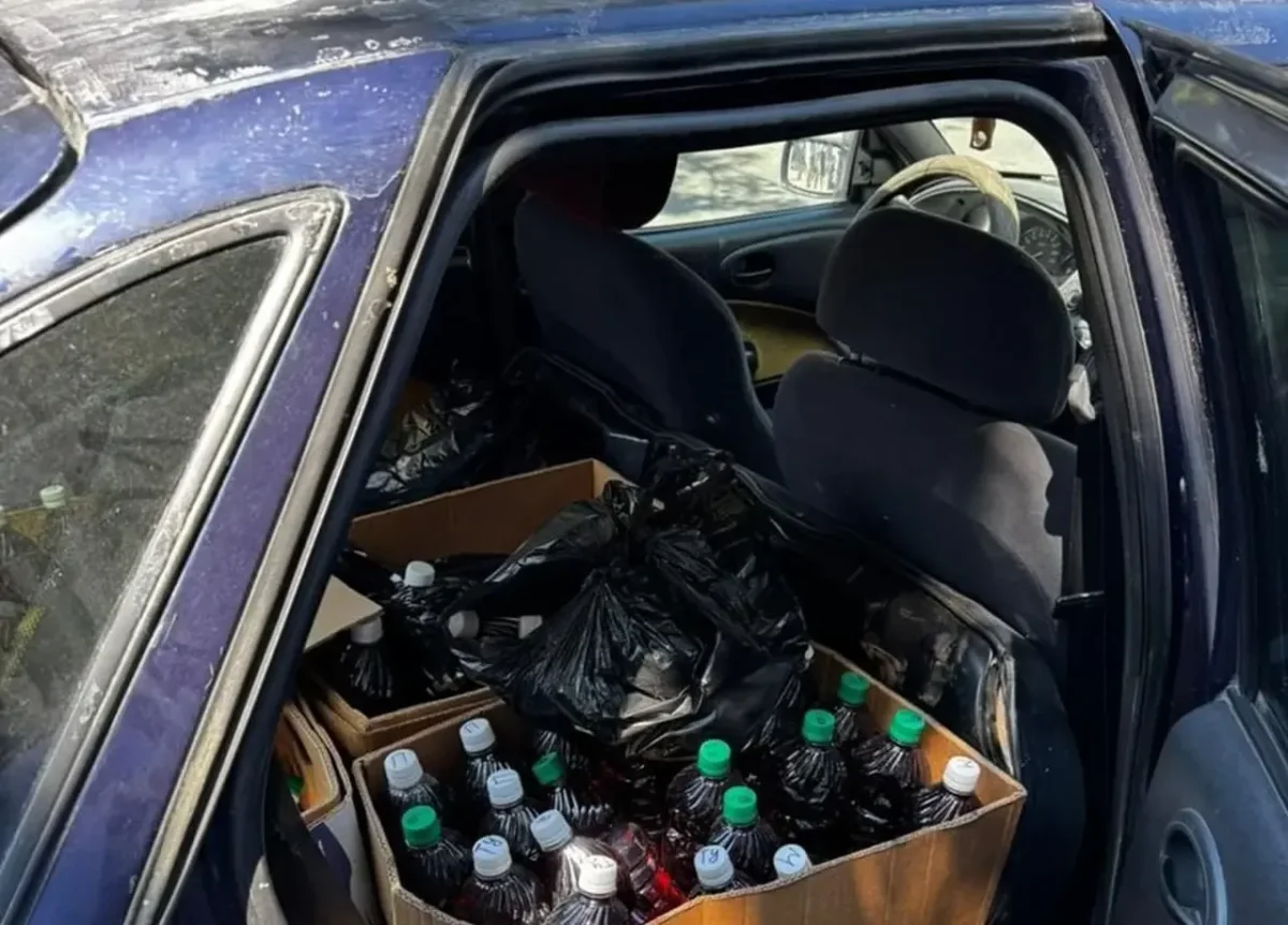 Фото: @shot_shot