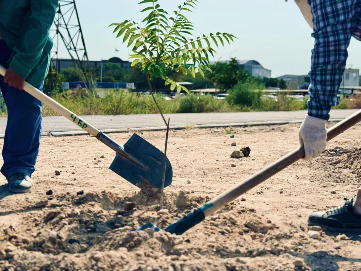 Фото: ЦОК Мангистауской области