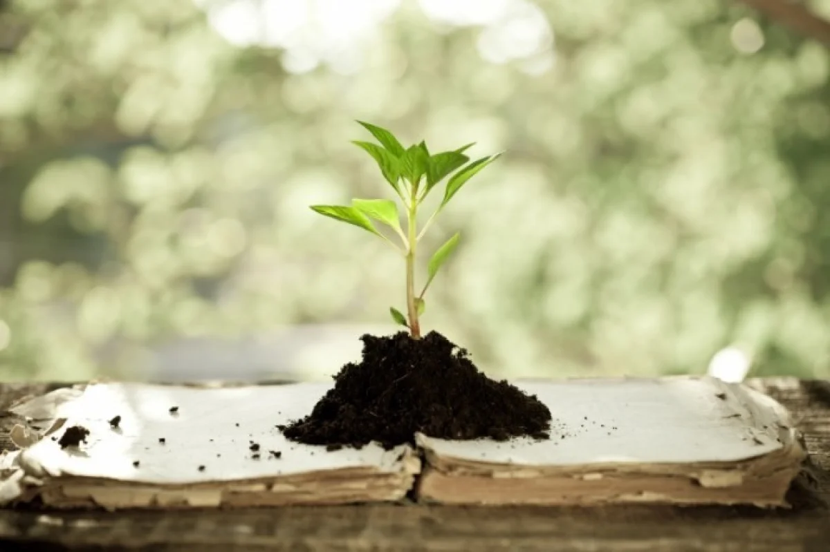 Иллюстративное фото: firestock.info