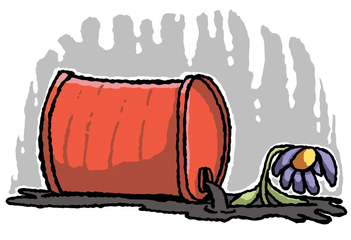 Фото pixabay.com