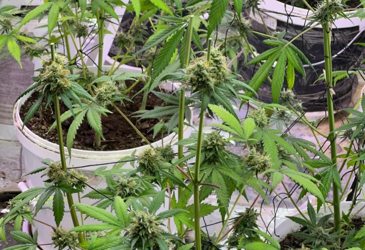 Фото из архива