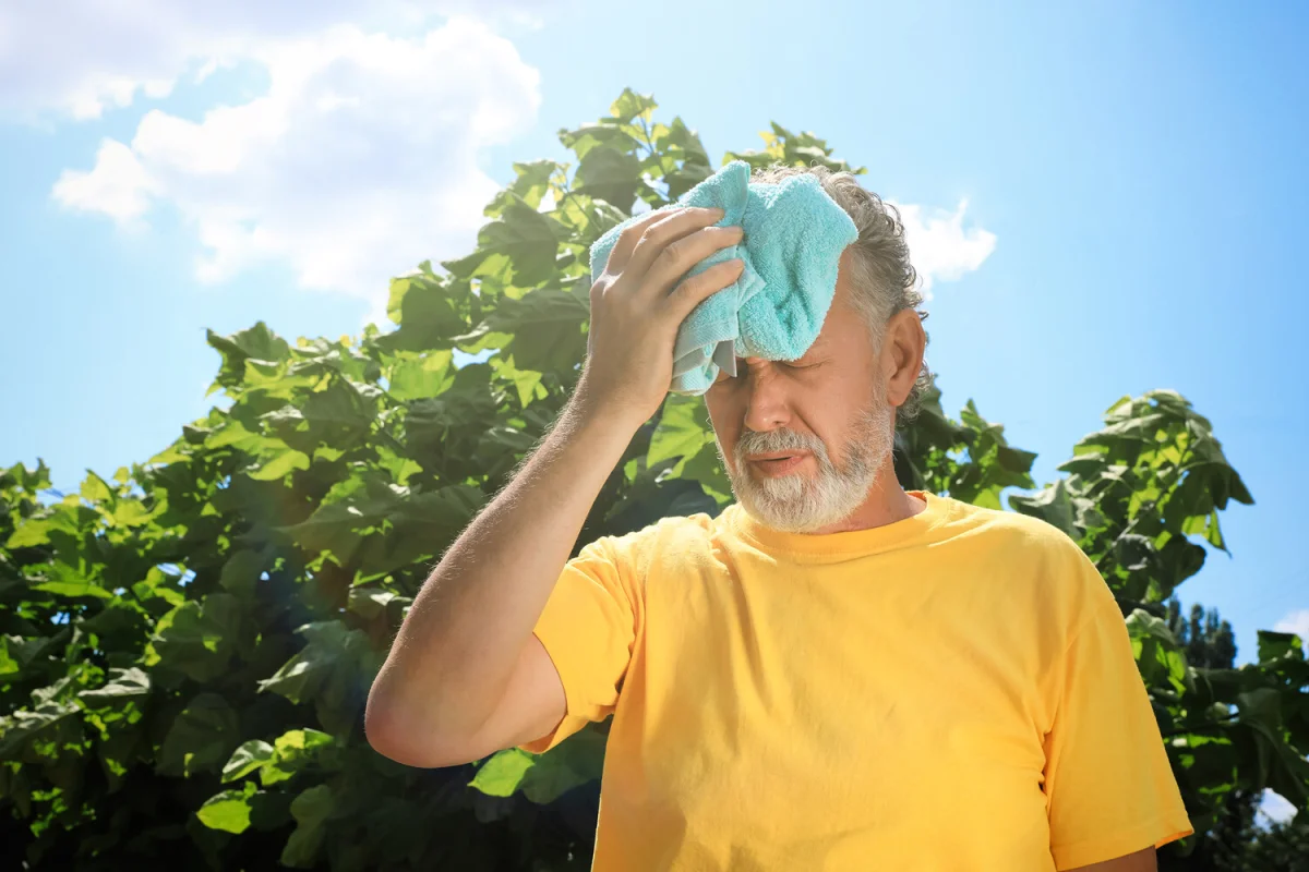 Фото:  Shutterstock