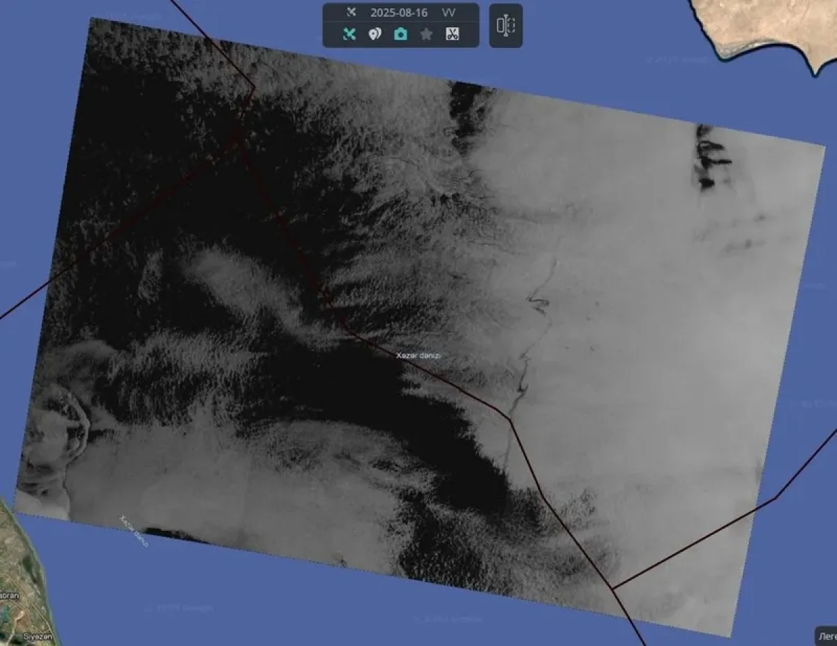 Фото: Telegram/twworldkasp