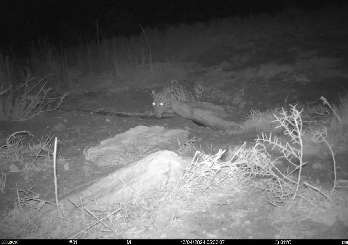 Иллюстративное архивное фото: instagram.com/ustirt_kz/