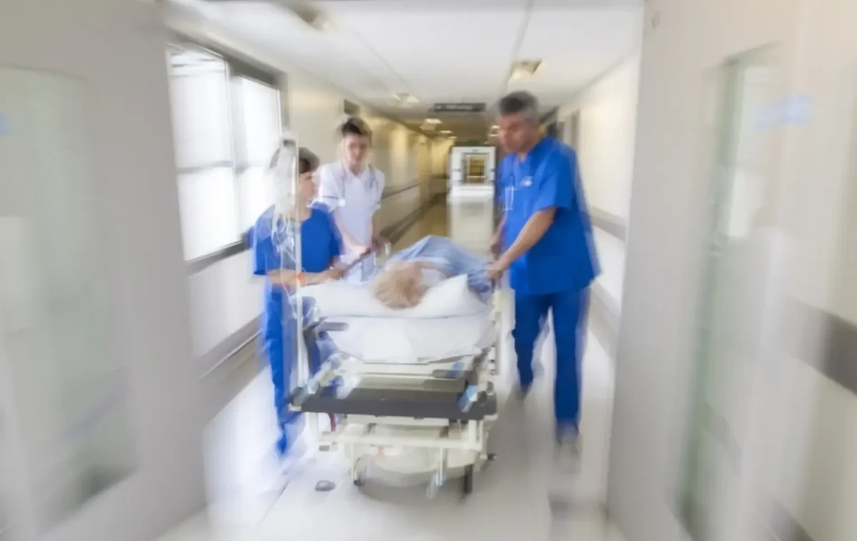 Фото: pxhere.com