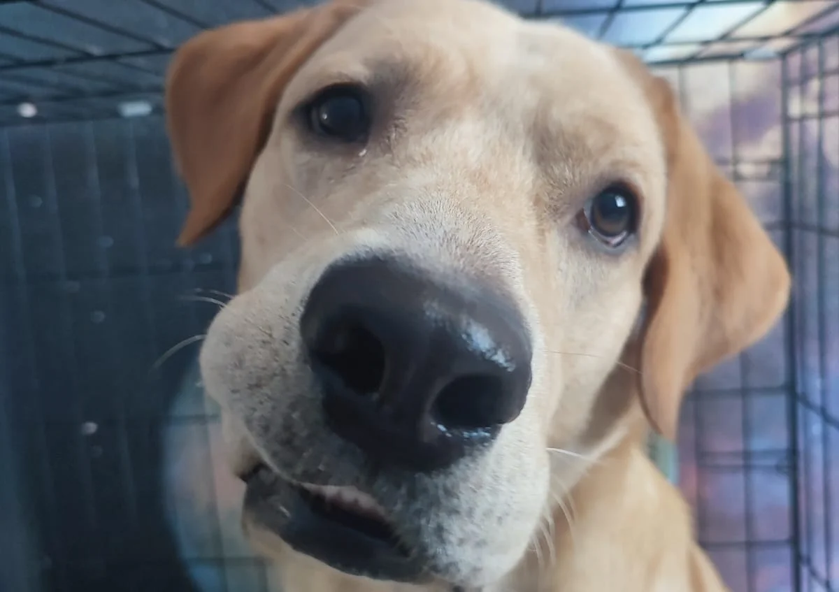 Фото из семейного архива