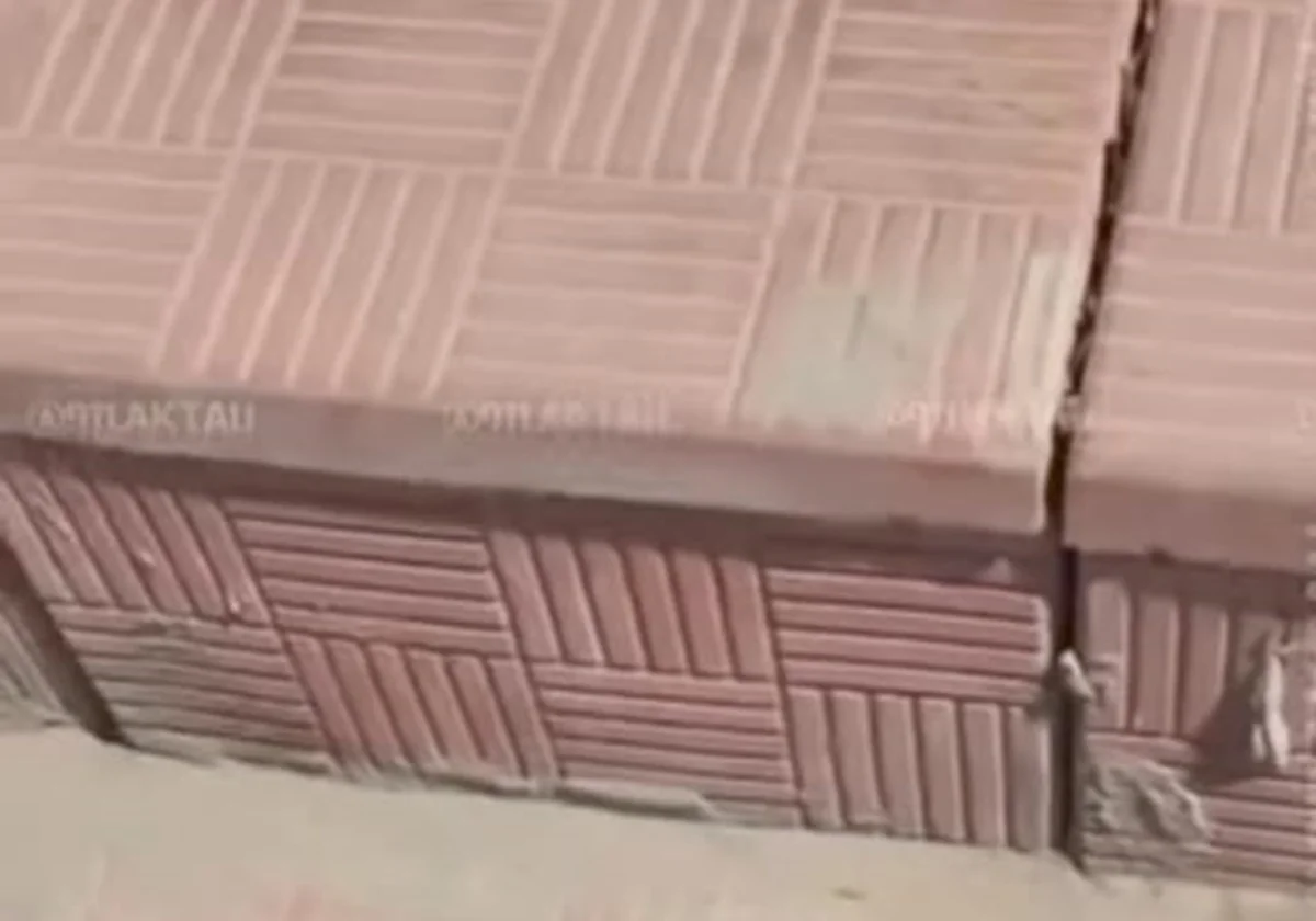 Фото: стоп-кадр из видео