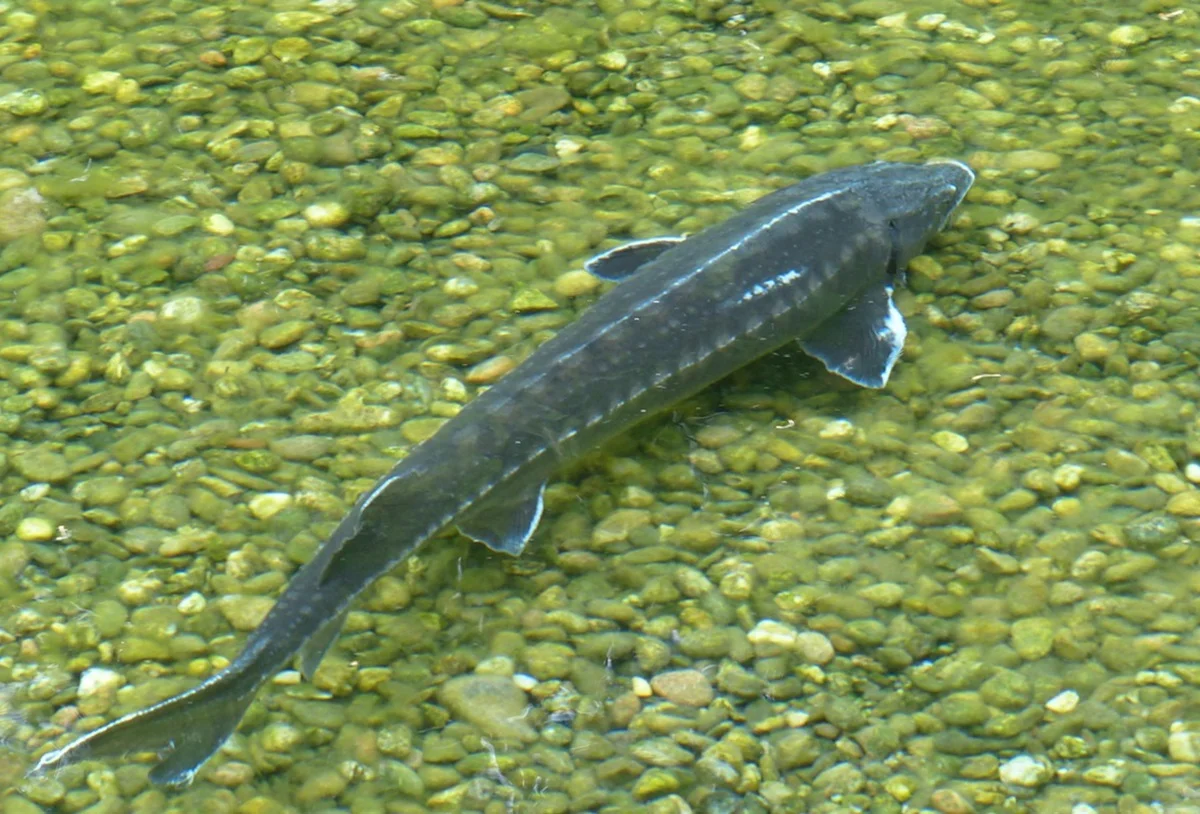 Фото с сайта pixabay.com