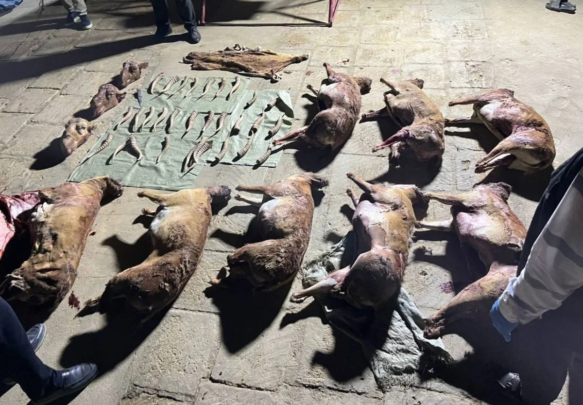 Фото с сайта Polisia.kz