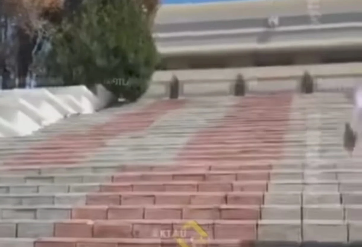 Фото: стоп-кадр из видео