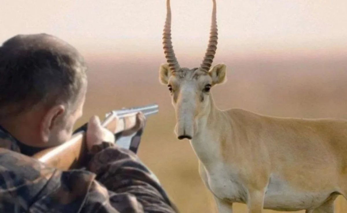 Иллюстративное фото: uralskweek.kz