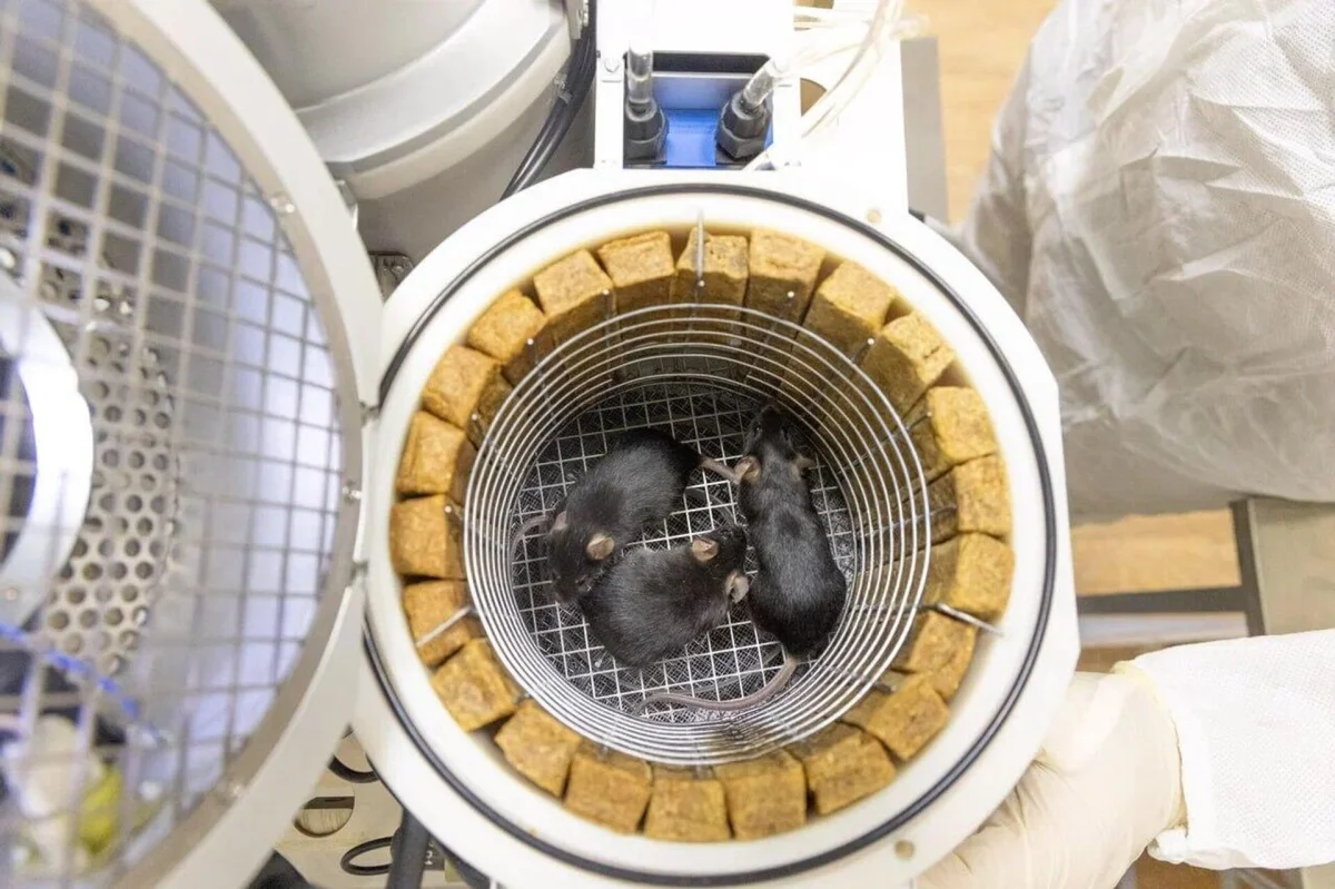 © Photo : Пресс-служба корпорации "Роскосмос"