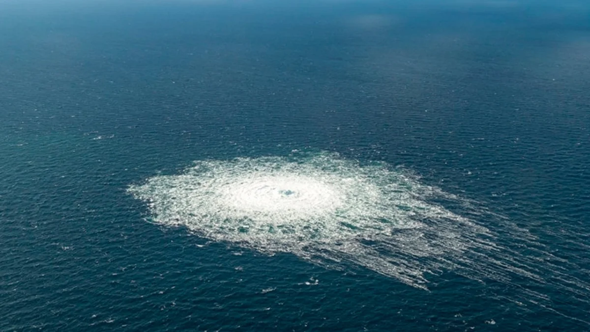 © Фото: Danish Defense Ministry, XinHua, Globallookpress